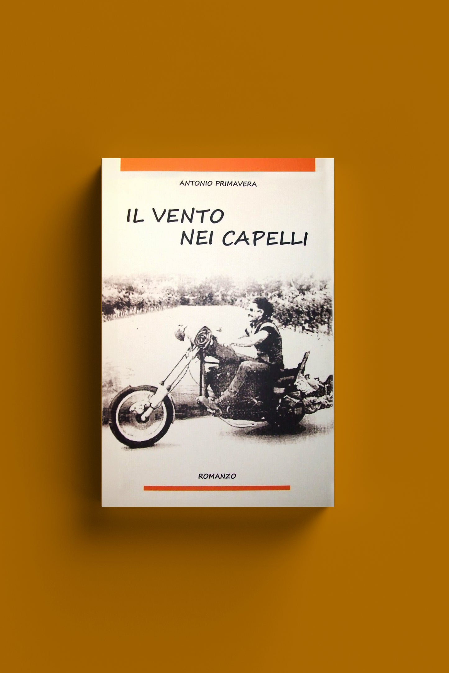 Il vento nei capelli