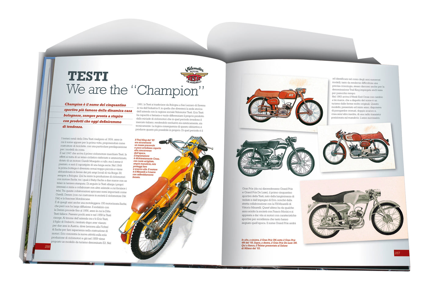 BLACK FRIDAY | FEBBRE A 50 + UNICORNI, CENTAURI, CHEF E COSA MANGIANO